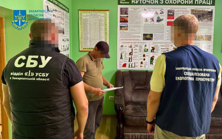 На Закарпатті викрито майстра лісу, який допустив незаконну вирубку дубів на 5,2 мільйона гривень