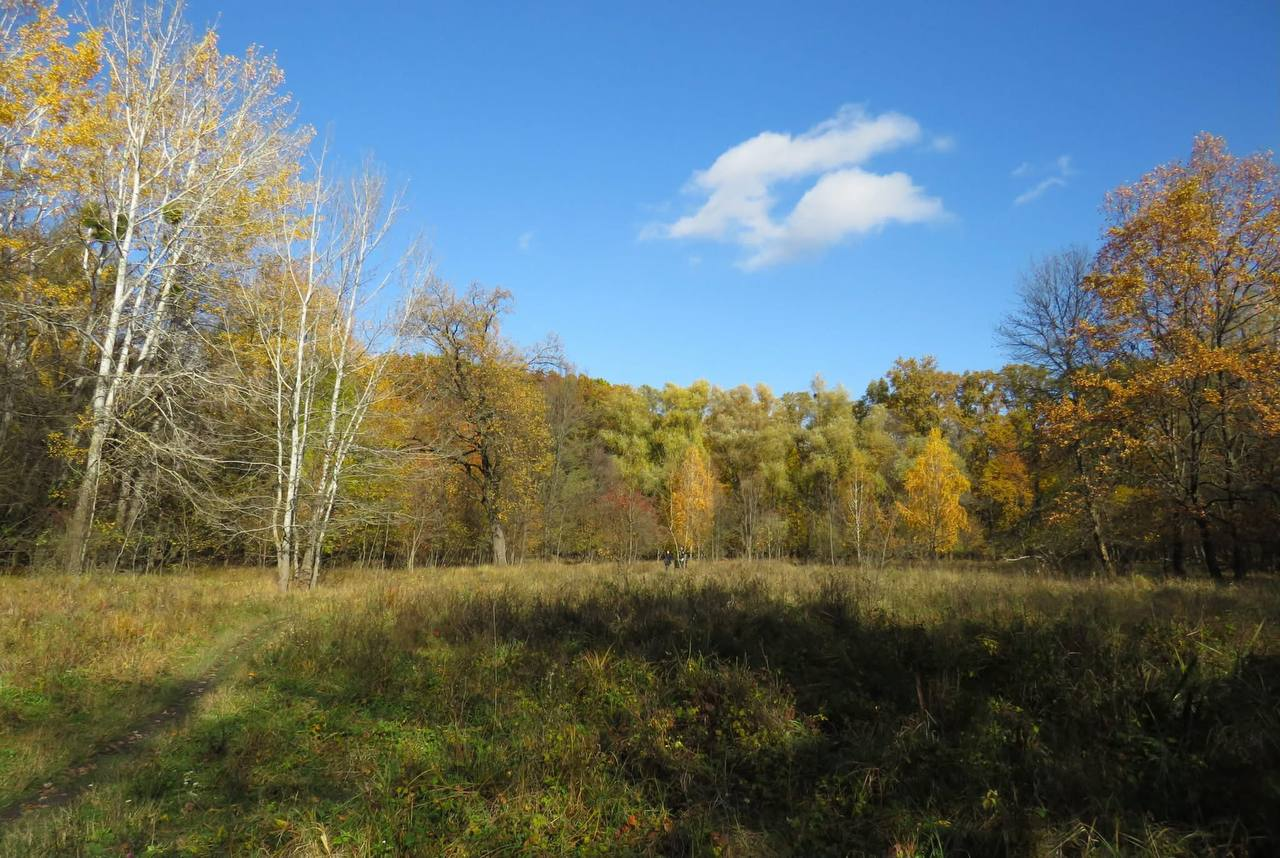 Урочище Теремки частково входить до нацпарку