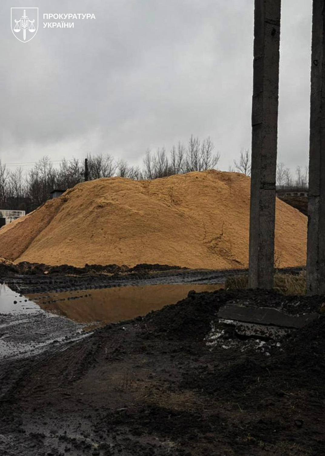 На Закарпатті посадовця лісохімічного комбінату підозрюють у забрудненні 2 га землі