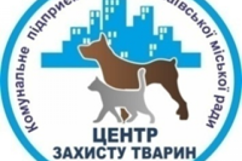 Николаевский "Центр защиты животных" прекратил отлов бродячих собак из-за конфликта с зоозащитниками