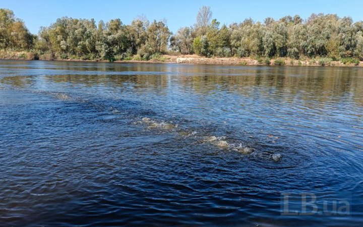 Як киян рятують від забрудненої води. Репортаж з Десни в Київській області 