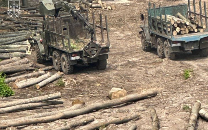 Низку працівників “Ліси України” підозрюють у масштабній схемі розкрадань деревини