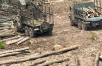 Низку працівників “Ліси України” підозрюють у масштабній схемі розкрадань деревини