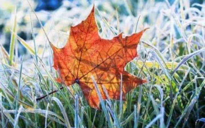 Рятувальники попередили про заморозки на сході України