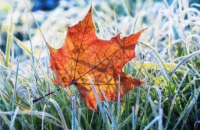 Рятувальники попередили про заморозки на сході України