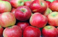 Яблоки названы универсальной защитой от инсультов