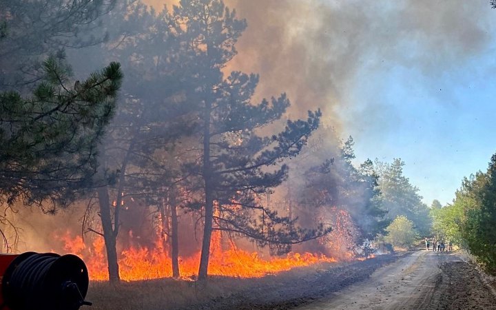 На Миколаївщині горіли 48 гектарів лісу