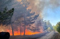На Миколаївщині горіли 48 гектарів лісу