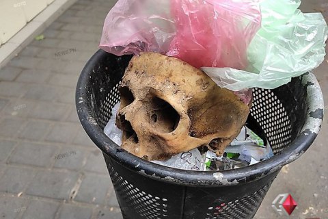 В Николаеве в урне для мусора обнаружили древний человеческий череп
