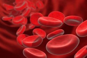 Ученые занялись созданием искусственной универсальной крови