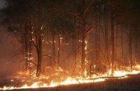 В Крыму от пожара пострадали 6 га леса