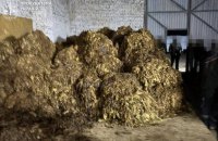 Правоохоронці заявили про ліквідацію підпільного виробництва тютюну на понад 25 млн грн у трьох областях країни