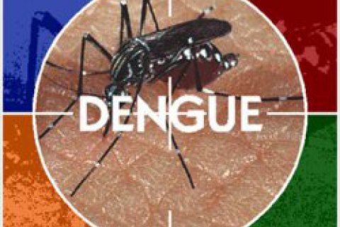 В Индии от лихорадки денге умер 21 человек