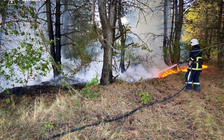 ​Пожежі в екосистемах завдали за тиждень майже 29 млрд грн збитків природі