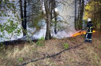 ​Пожежі в екосистемах завдали за тиждень майже 29 млрд грн збитків природі