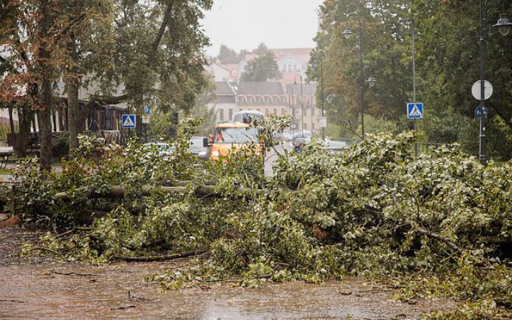 У Литві через негоду десятки тисяч користувачів залишаться без світла на тиждень. Є загибла