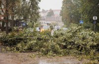 У Литві через негоду десятки тисяч користувачів залишаться без світла на тиждень. Є загибла