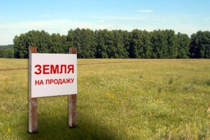 Литвина просять не підписувати закон про створення земельного банку
