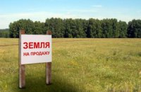 Литвина просять не підписувати закон про створення земельного банку
