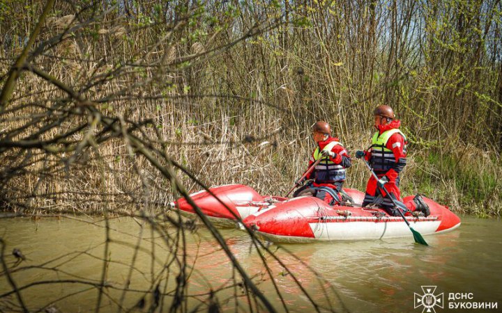 У Пруті на Буковині знайшли тіло 13-річної дівчинки, яка зникла у квітні