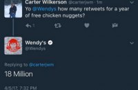 Твит американца, попросившего годовой запас наггетсов у сети Wendy’s, стал самым популярным в истории