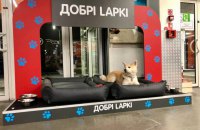 Епіцентр обладнав постійні зони для відпочинку тварин  