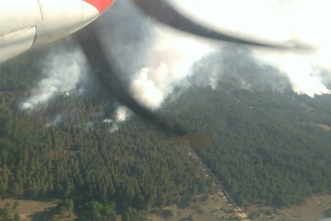 Лісову пожежу, що тривала 5 днів, ліквідували в Херсонській області