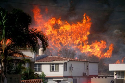 Число жертв пожаров в Калифорнии увеличилось до 50 человек