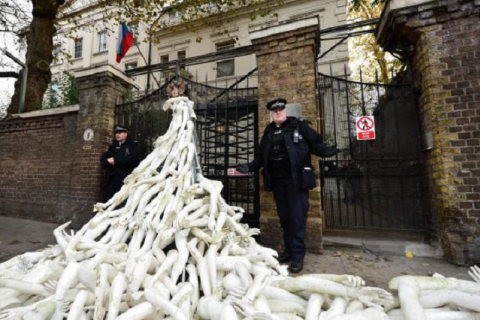 Протестующие принесли под посольство РФ в Лондоне "оторванные" конечности
