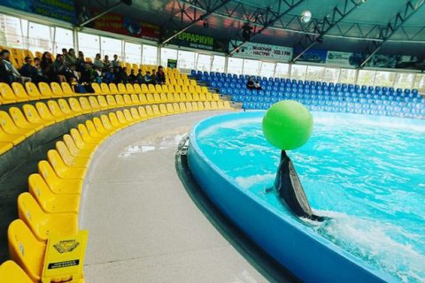 Суд арестовал киевский дельфинарий "Немо"
