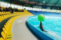 Суд арестовал киевский дельфинарий "Немо"