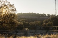 Іспанія оголосить триденну жалобу за жертвами аварії швидкісного поїзда