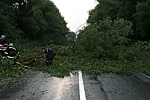 Ураган заблокировал автостраду в Западной Украине