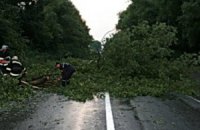 Ураган заблокировал автостраду в Западной Украине