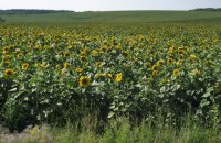Директора ліцею в Харківській області підозрюють у привласненні 46 тонн насіння