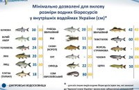 В Україні збільшено дозволені для вилову розміри деяких риб
