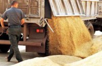 НАБУ разоблачило схему хищения зерна из Госрезерва на 12 млн грн