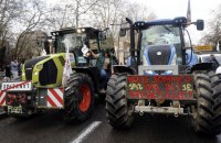 У Франції під час страйку фермерів у ДТП загинули мама з донькою