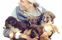 Американский фристайлист заберет из Сочи семью бродячих собак