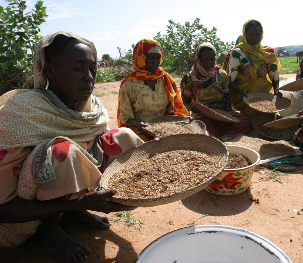 Cуданка просіває зерно надане Всесвітньою продовольчою програмою в таборі Арара, на захід від Дарфуру.