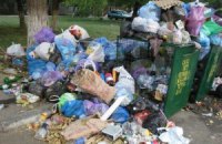 Свалки не дают строить в Украине заводы по переработке мусора