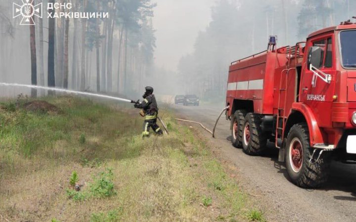 Обстріли прикордоння Харківщини спровокували низову лісову пожежу на площі 5 га