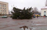 На Житомирщині новорічна ялинка під час встановлення впала разом із людиною на верхівці