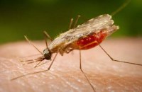 Білл Гейтс і Британія виділять $4,3 млрд на боротьбу з малярією