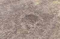 В Естонії фермер виявив кратер від падіння ударного дрона. Влада вважає, що він український