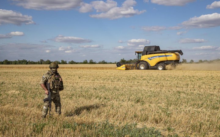 Окупанти повідомили про крадіжку сотень тисяч тонн зерна у Запорізькій області  