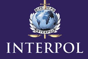 Европол и Интерпол помогут узнать жертв крушения "Боинга"