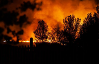 В Британии горел родной лес Винни-Пуха