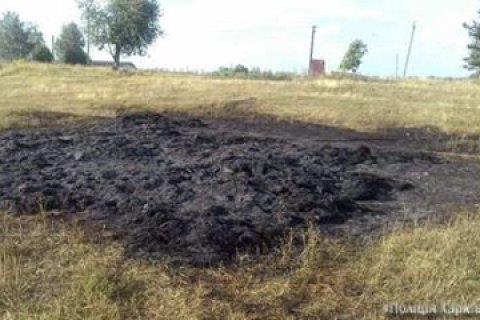 Под Харьковом 6-летний ребенок погиб, играясь со спичками в соломе