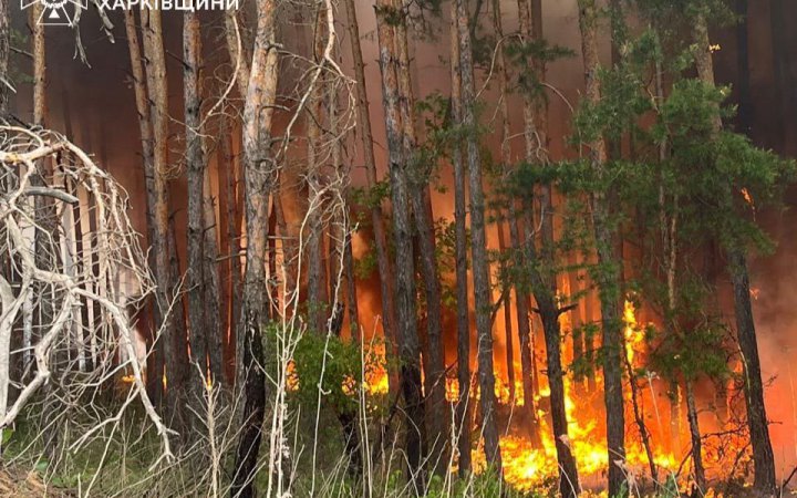 Харківщина у вогні: в регіоні досі палають майже 4 тисячі гектарів лісу